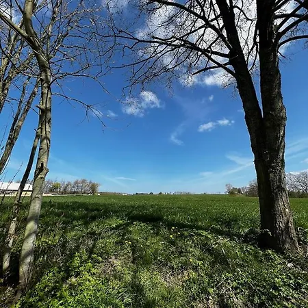 Couette-café Kroghojgard